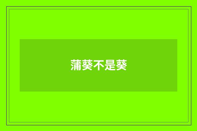 蒲葵不是葵