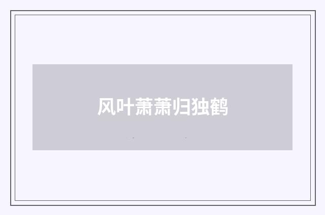 风叶萧萧归独鹤