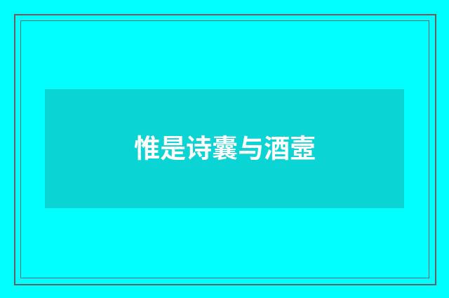 惟是诗囊与酒壼