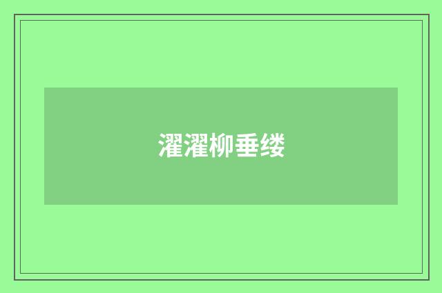 濯濯柳垂缕