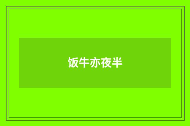 饭牛亦夜半