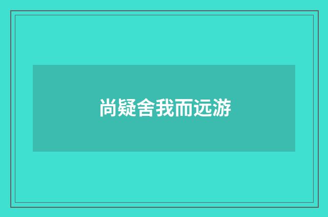 尚疑舍我而远游