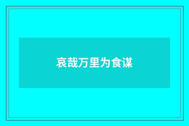 哀哉万里为食谋