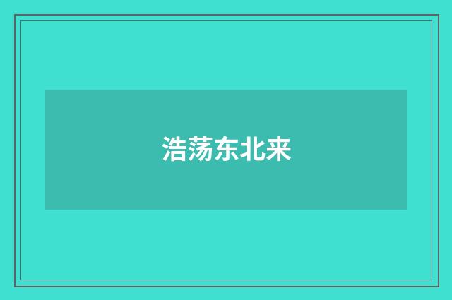 浩荡东北来