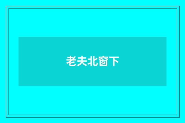 老夫北窗下