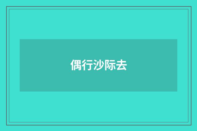 偶行沙际去