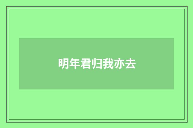 明年君归我亦去