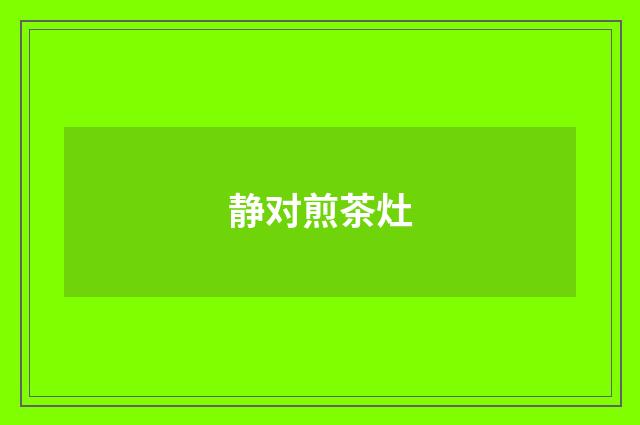 静对煎茶灶