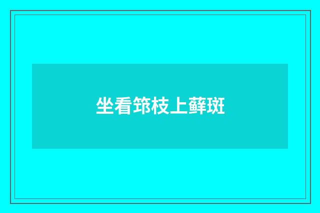坐看筇枝上藓斑
