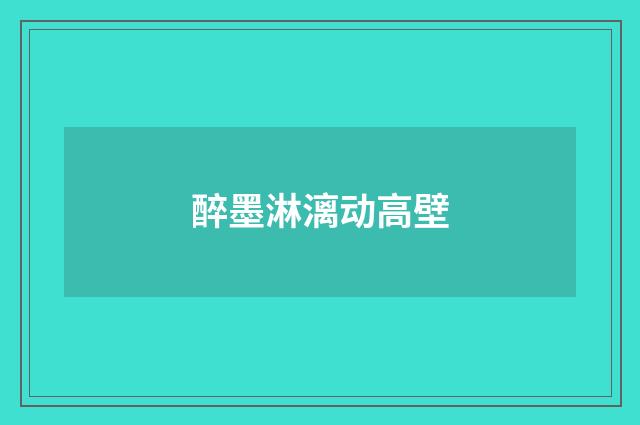 醉墨淋漓动高壁