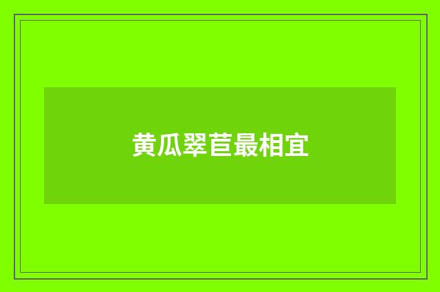 黄瓜翠苣最相宜