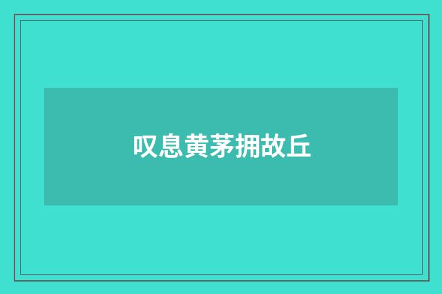 叹息黄茅拥故丘
