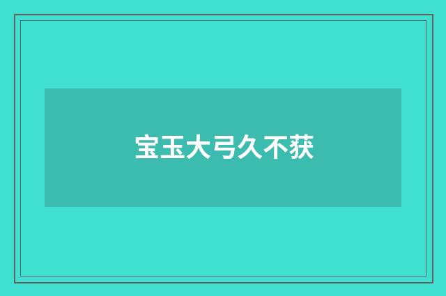 宝玉大弓久不获
