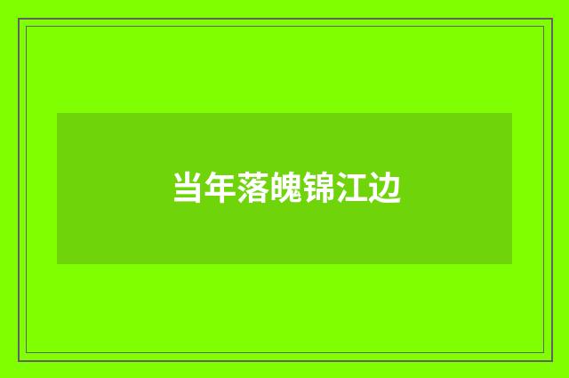 当年落魄锦江边