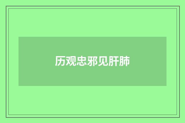 历观忠邪见肝肺