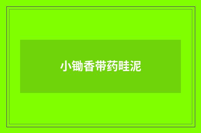 小锄香带药畦泥
