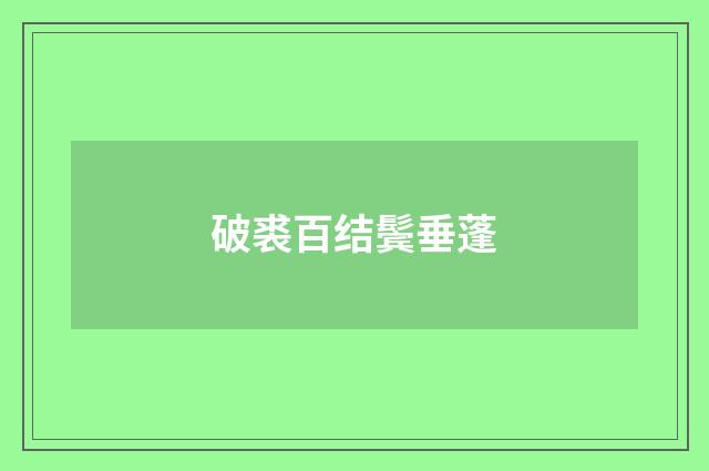 破裘百结鬓垂蓬