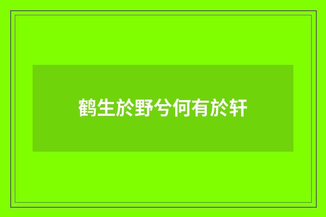 鹤生於野兮何有於轩
