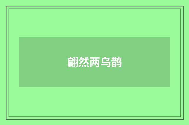翩然两乌鹊