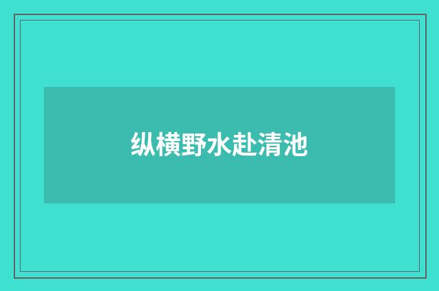 纵横野水赴清池