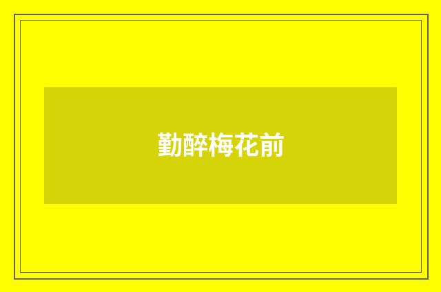 勤醉梅花前