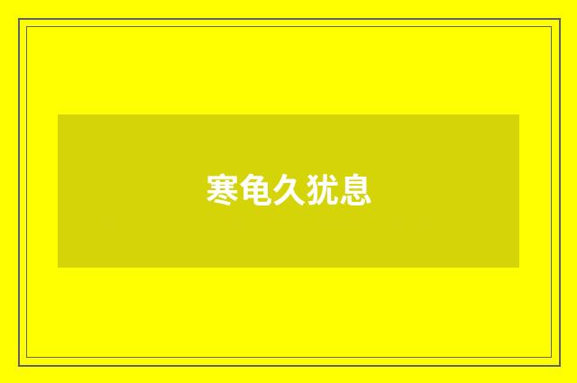 寒龟久犹息