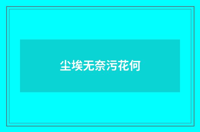 尘埃无奈污花何