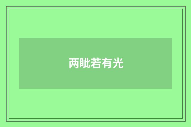 两眦若有光