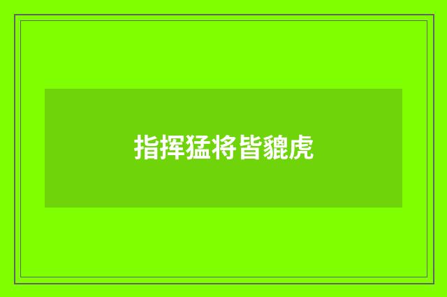 指挥猛将皆貔虎