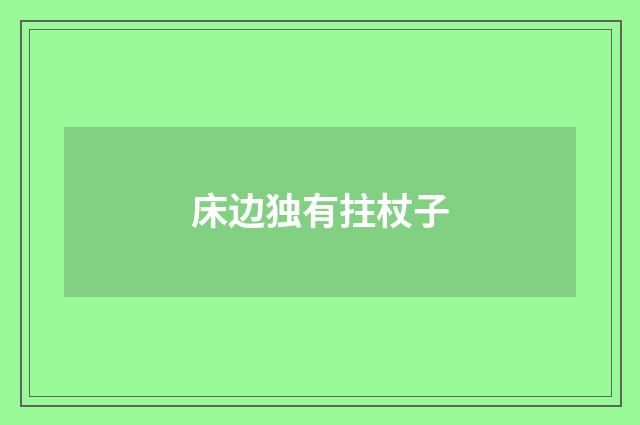 床边独有拄杖子