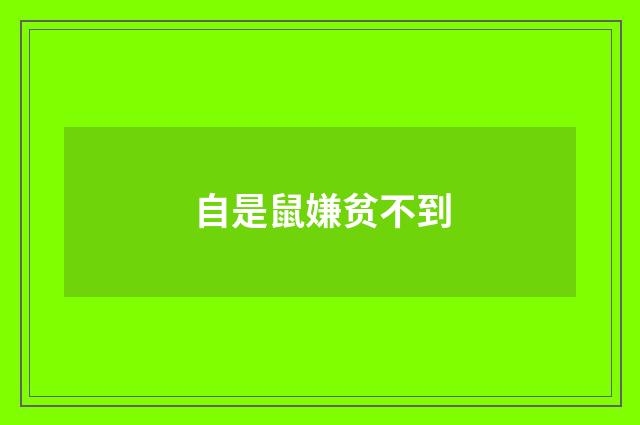 自是鼠嫌贫不到