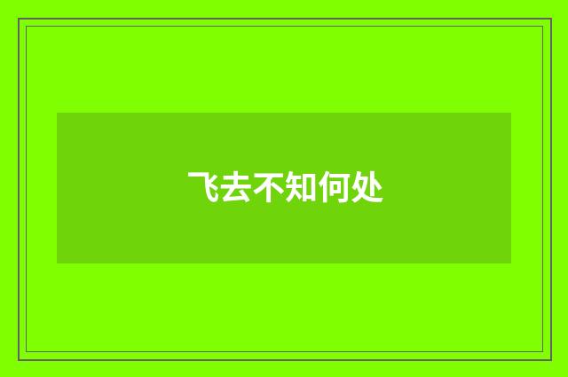 飞去不知何处