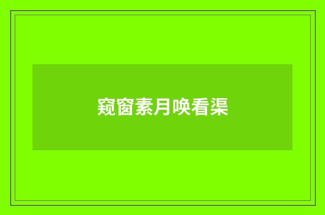窥窗素月唤看渠