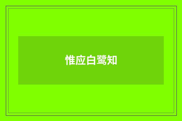 惟应白鹭知