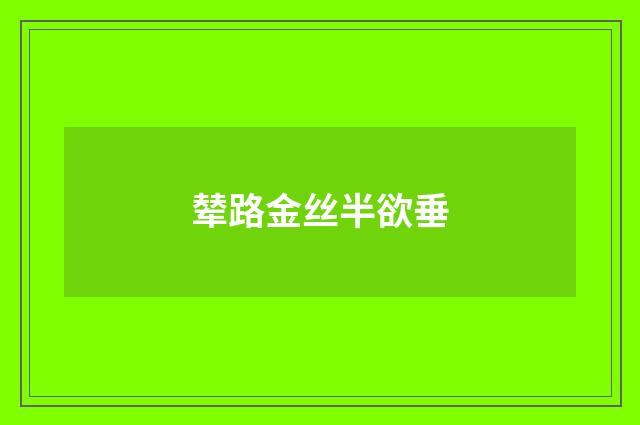辇路金丝半欲垂