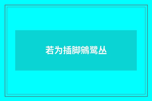 若为插脚鵷鹭丛