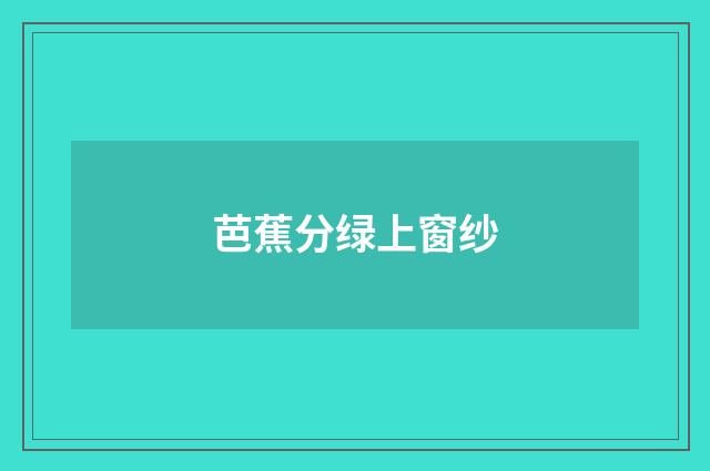 芭蕉分绿上窗纱
