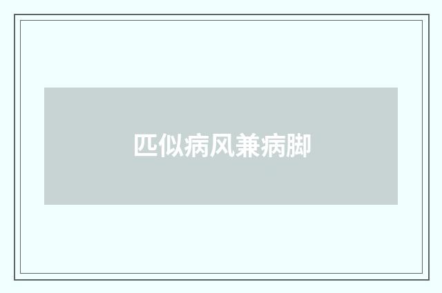 匹似病风兼病脚