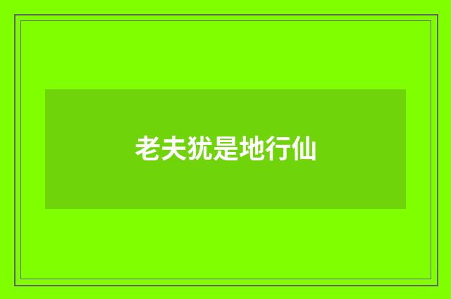 老夫犹是地行仙