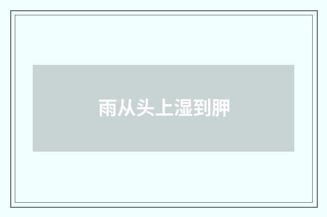 雨从头上湿到胛