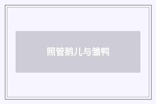 照管鹅儿与雏鸭