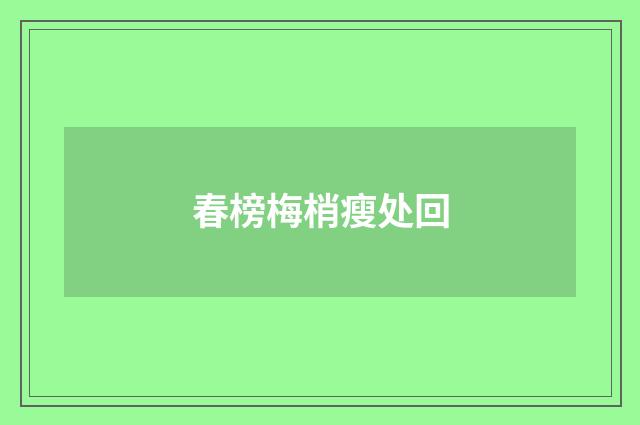 春榜梅梢瘦处回