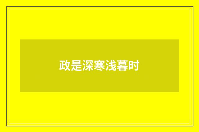 政是深寒浅暮时