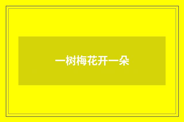 一树梅花开一朵
