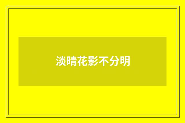 淡晴花影不分明