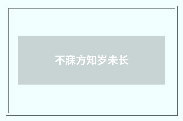 不寐方知岁未长