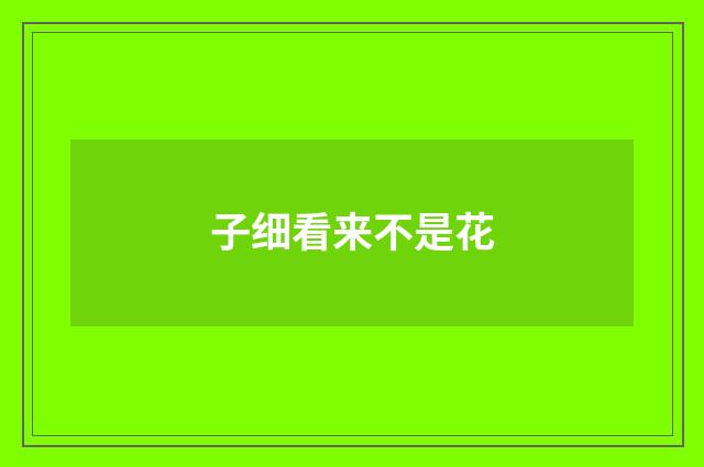 子细看来不是花