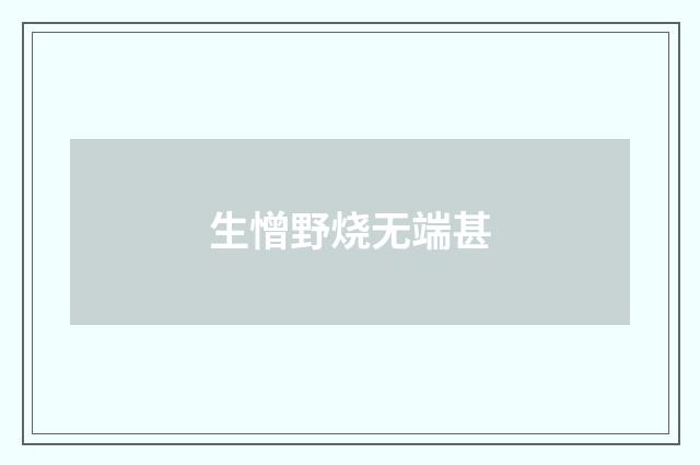生憎野烧无端甚