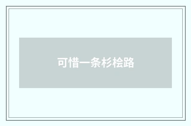 可惜一条杉桧路