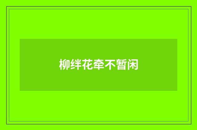 柳绊花牵不暂闲